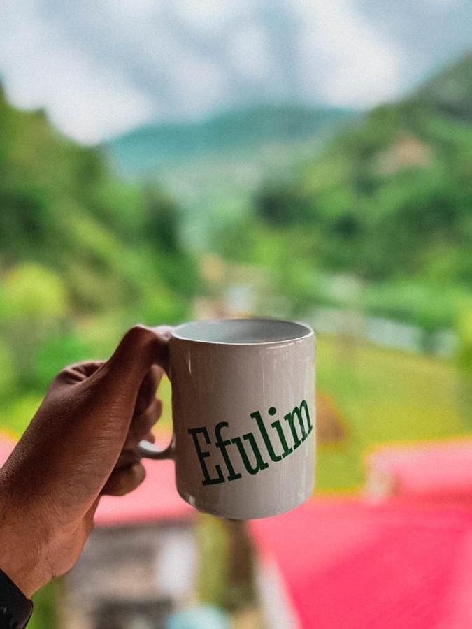 Efulim Apart Çamlıhemşin Kültér fotó